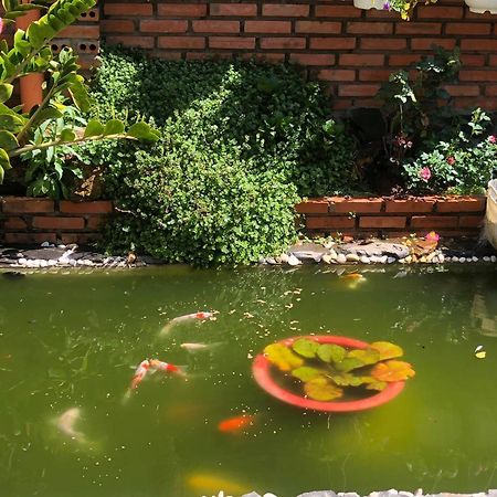 شقة Rose House دالات المظهر الخارجي الصورة