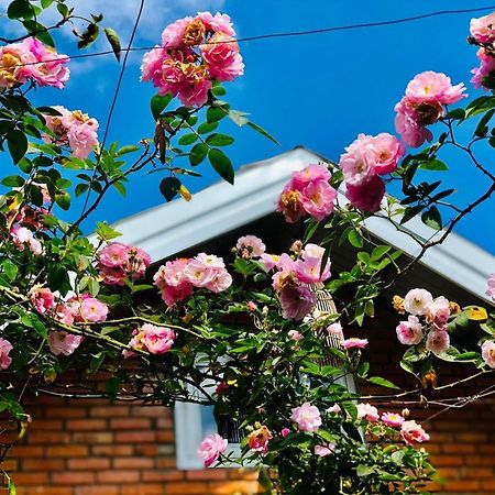 شقة Rose House دالات المظهر الخارجي الصورة