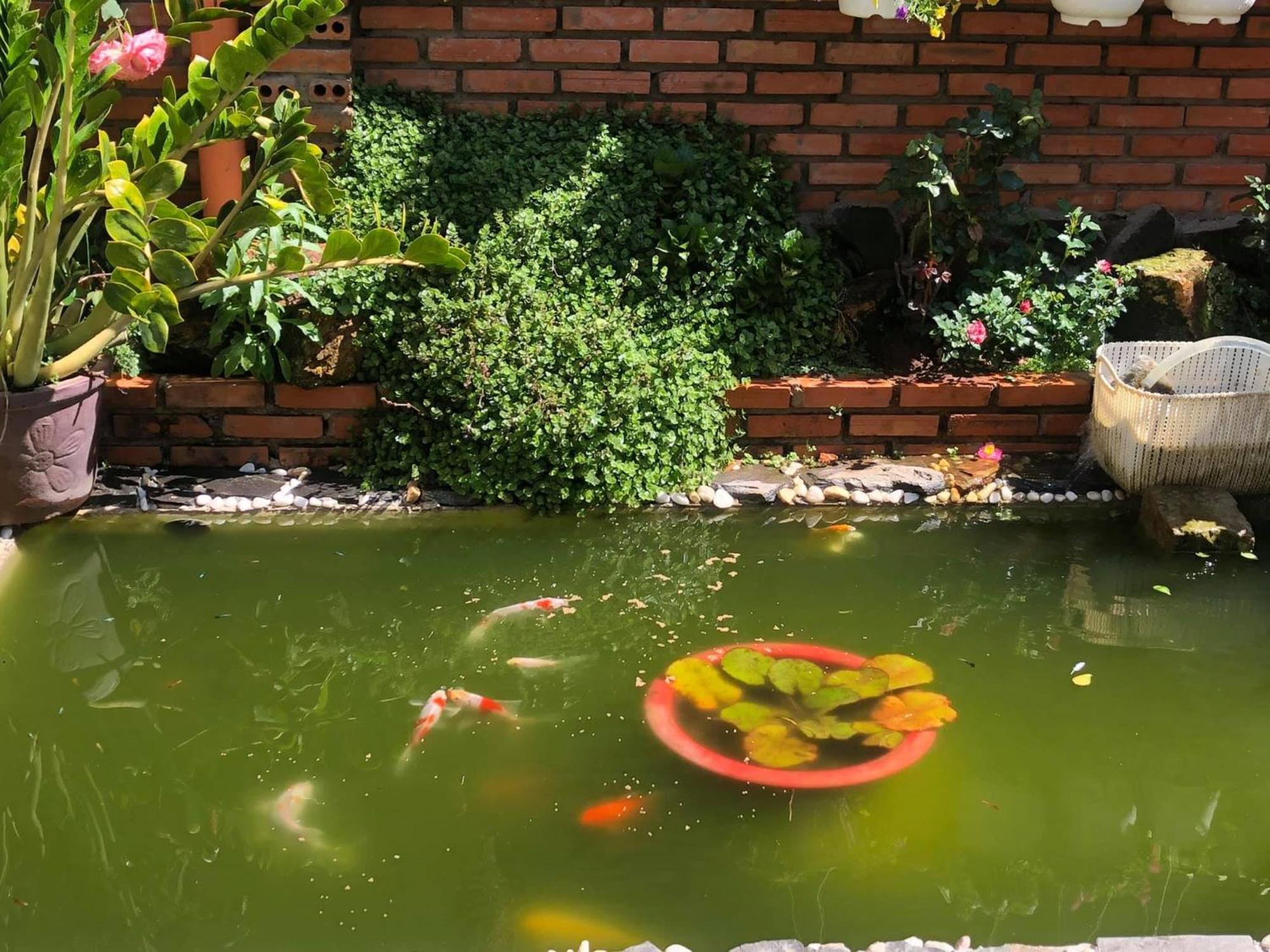 شقة Rose House دالات المظهر الخارجي الصورة
